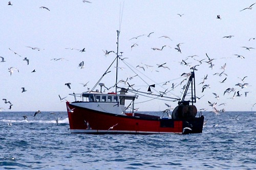 How the insurance industry can help put an end to illegal fishing