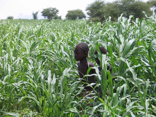 mali-africa-drought