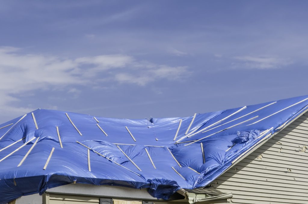 roof with blue tarp