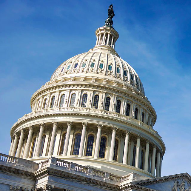 The US Capitol