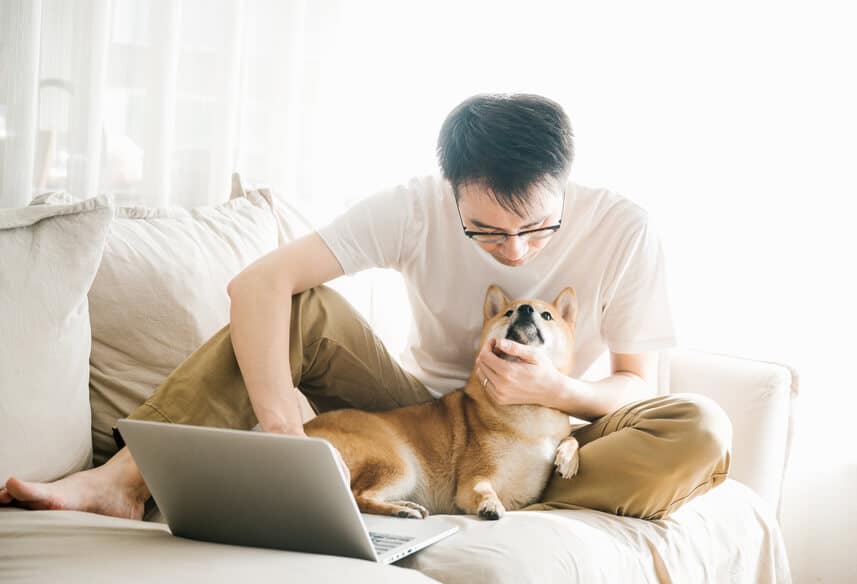 Make pet ownership less hard with Haven Life Plus