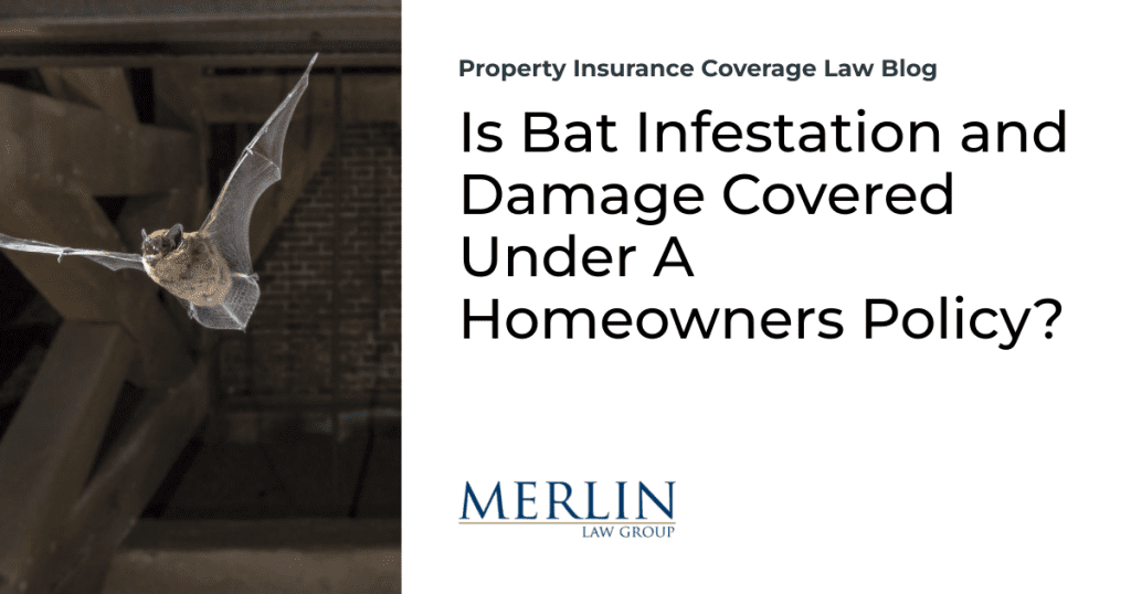 Is Bat Infestation and Damage Covered Under A Homeowners Policy?