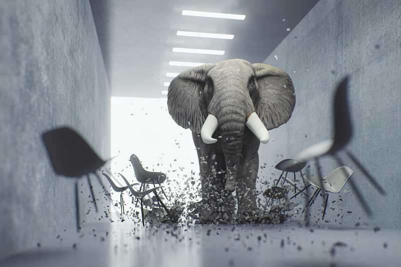 Angry elephant in the office