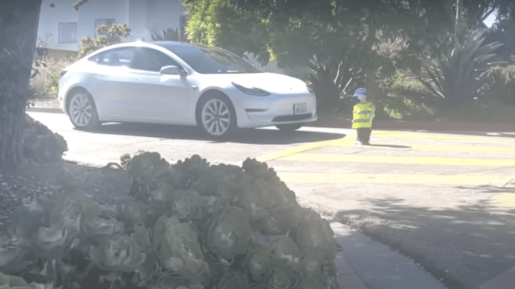 Tesla Wants Videos of Its EVs Running Childlike Dummies Over Taken Down Due to Inaccuracies