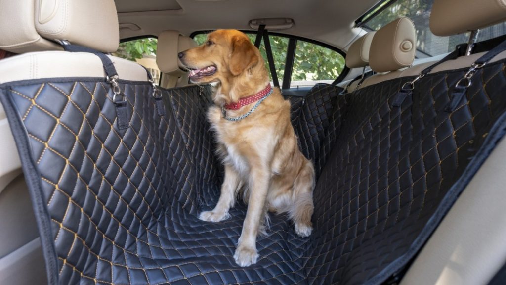 The best dog car seat covers to keep your pet safe and comfy on road trips