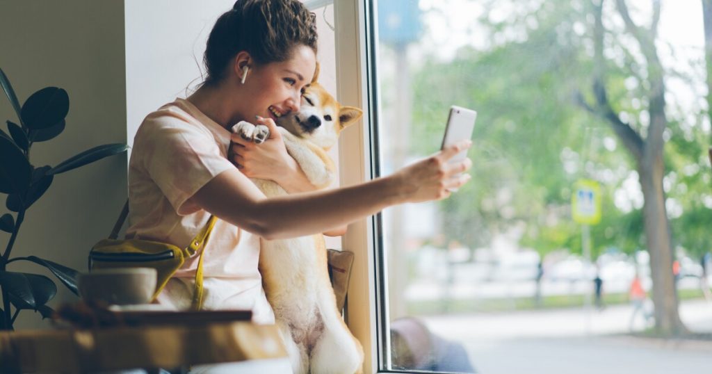 Pets Best invests in digital to accelerate claims, drive company growth
