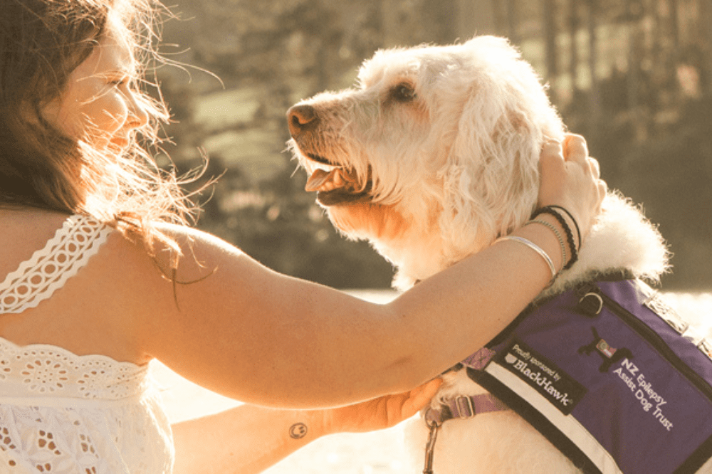 AA Pet Insurance continues sponsorship of NZ Epilepsy Assist Dog Trust