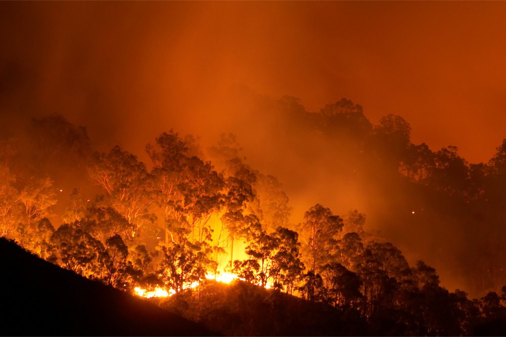 BC wildfire grows as large as a city, delays start to school year