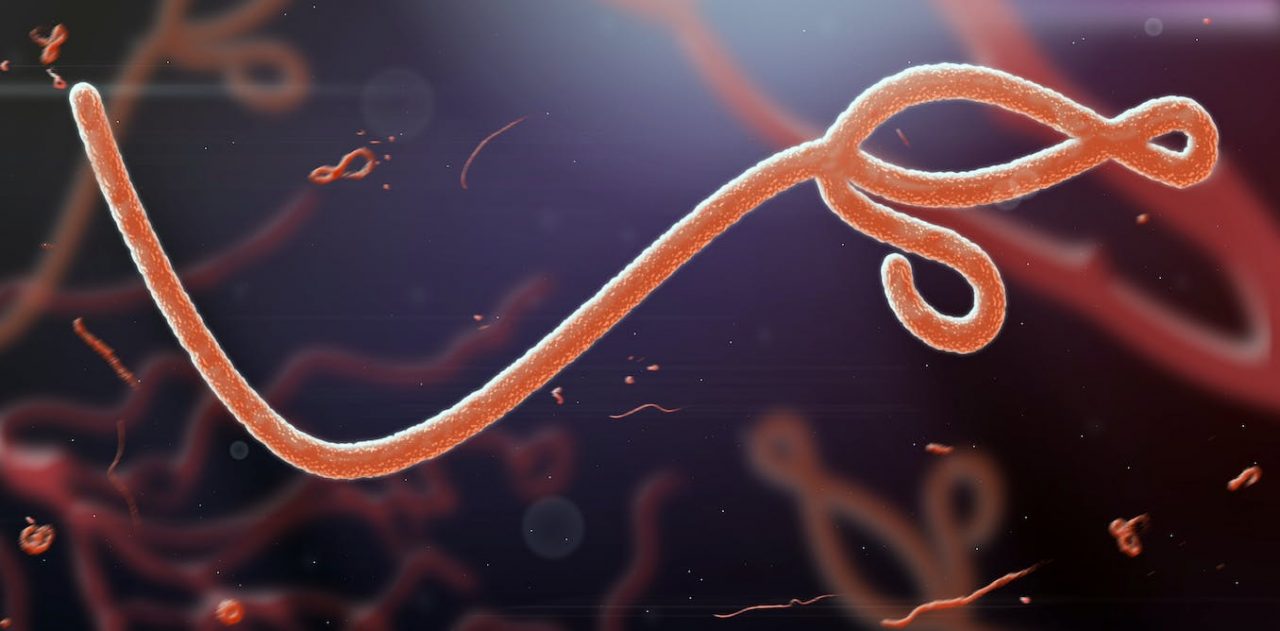 Ebola: what are the symptoms, how does it spread and where did it come from?