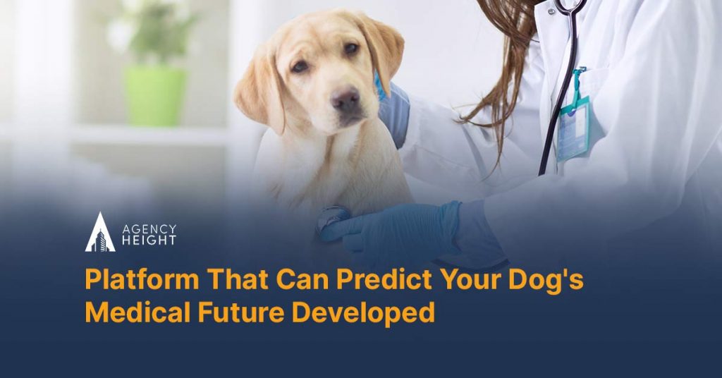 Platform That Can Predict Your Dog’s Medical Future Developed