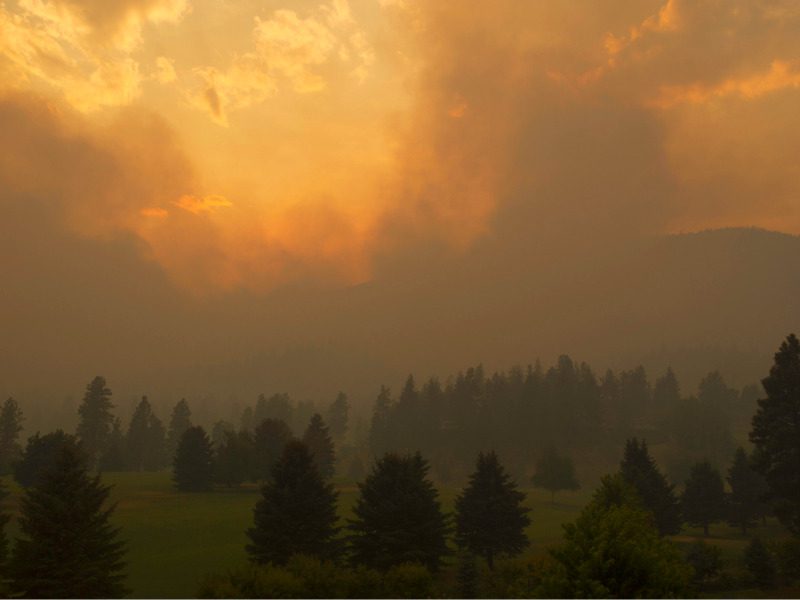 Forest fire in an arid climate