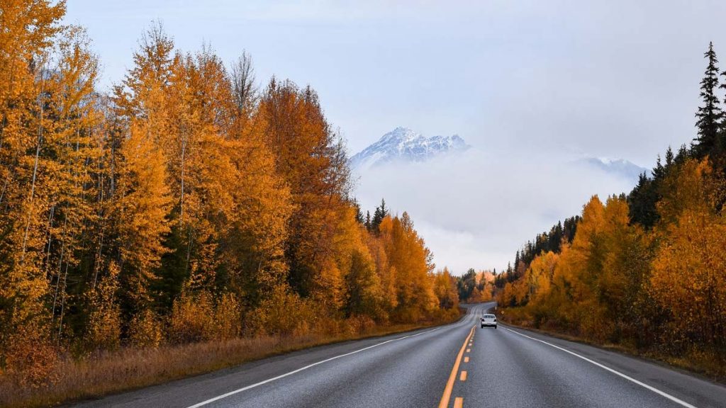 Safety Tips for Driving in the Fall