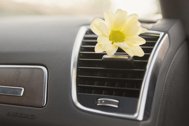 How To Get Rid of Smoke & Other Smells in My Car