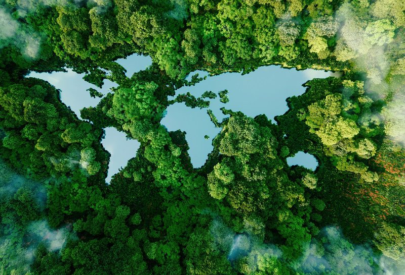 A lake in the shape of the world's continents in the middle of untouched nature.