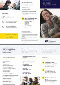 Bogle Agency Offers Pet Insurance in NJ!