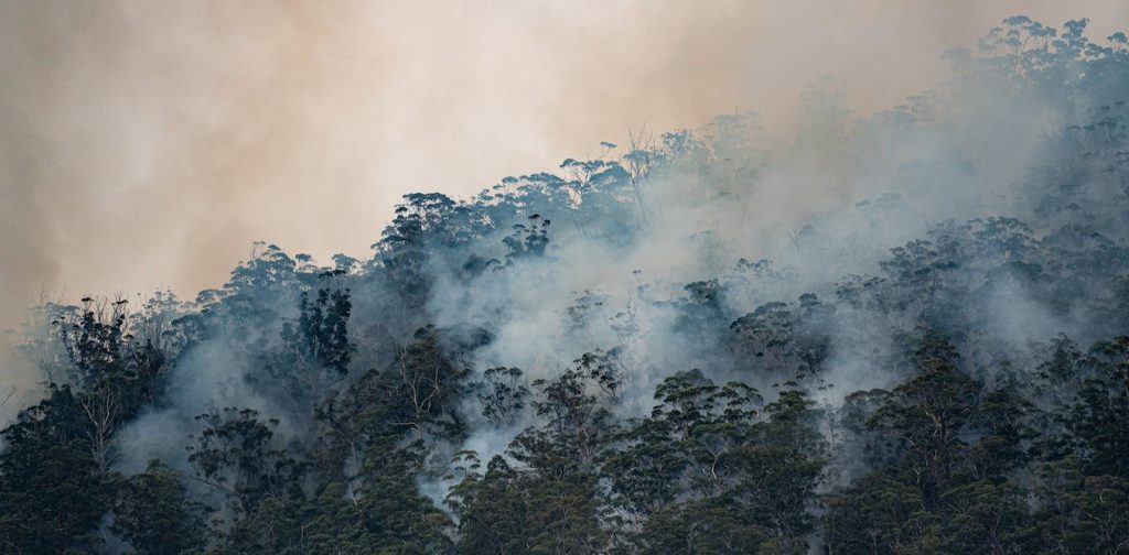 How to protect yourself against bushfire smoke this summer
