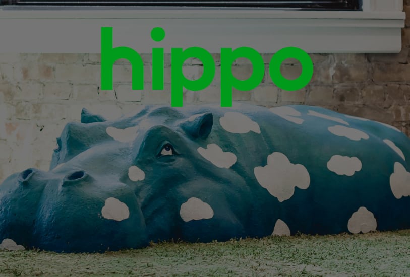 hippo-insurance-insurtech