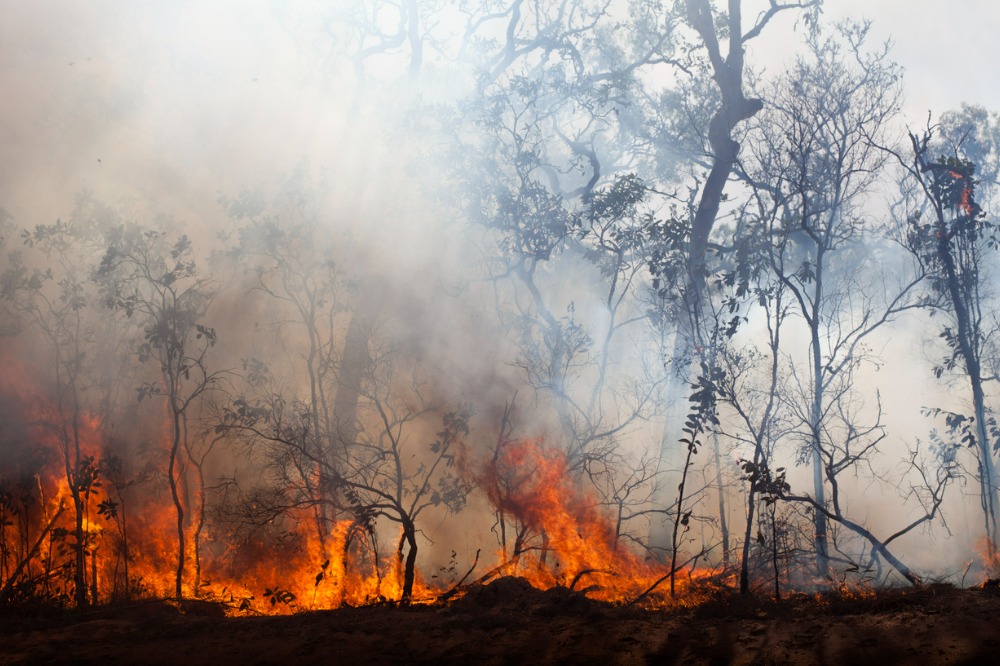 Report warns insurers to prepare for “more fire, more rain, more risk”