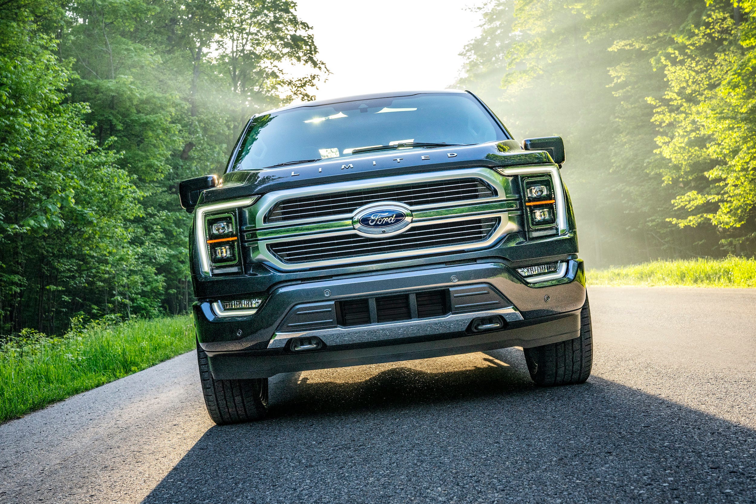 The Ford F-150.