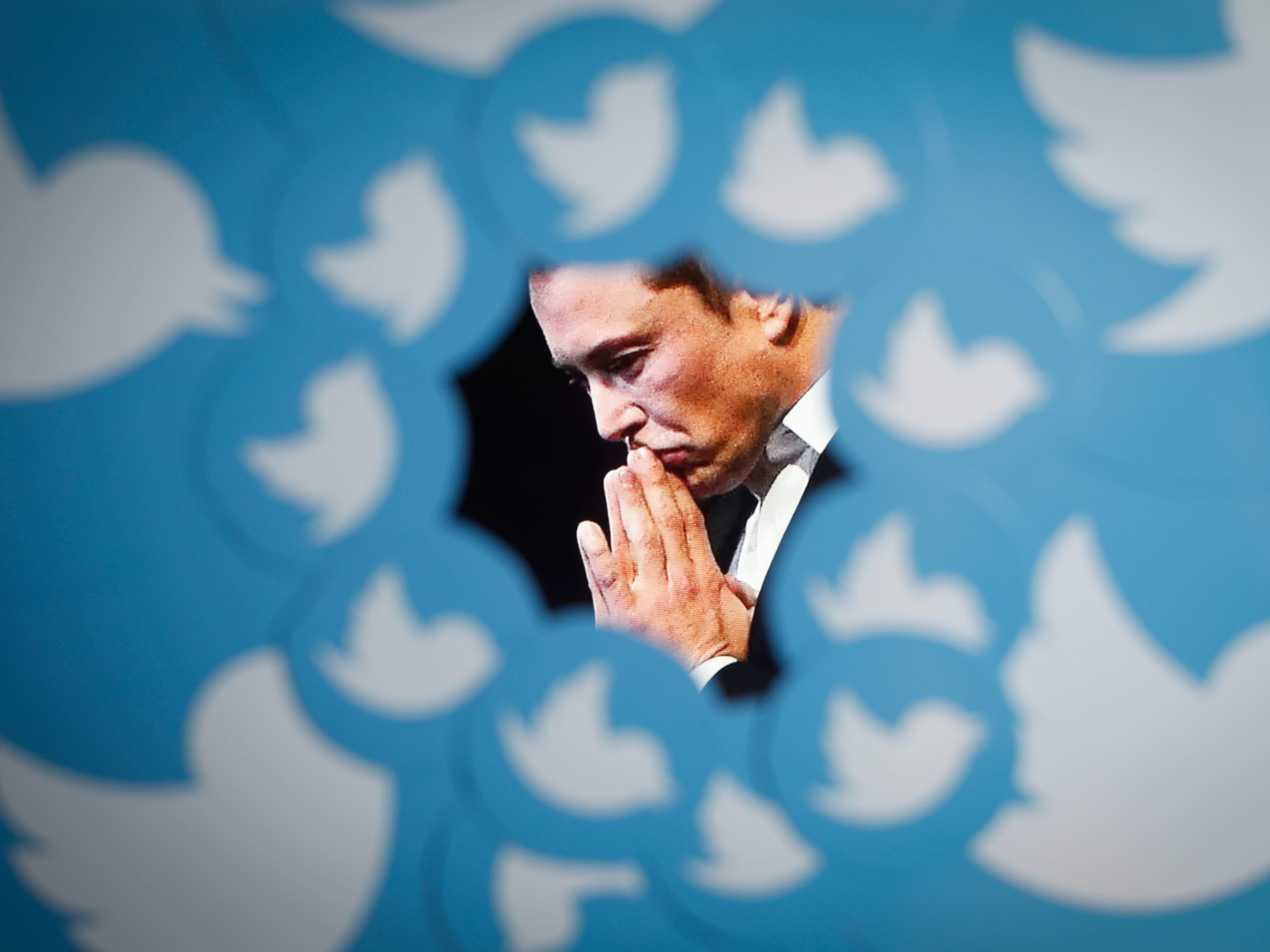 An image of new Twitter owner Elon Musk is seen surrounded by Twitter logos in this photo illustration.