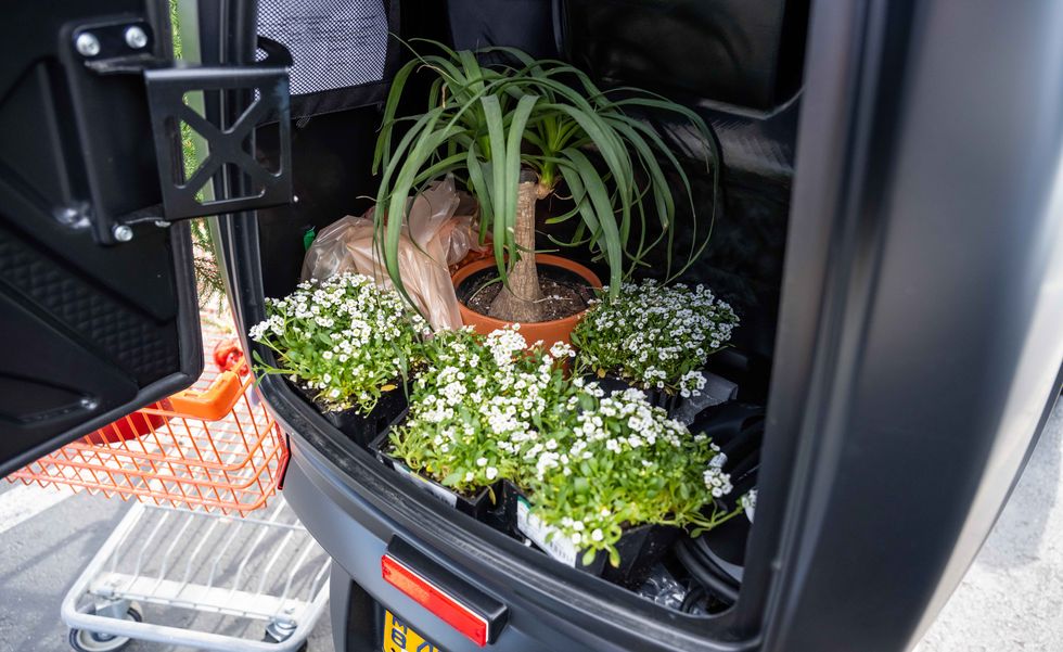 Arcimoto three-wheeler arcimoto threewheeler