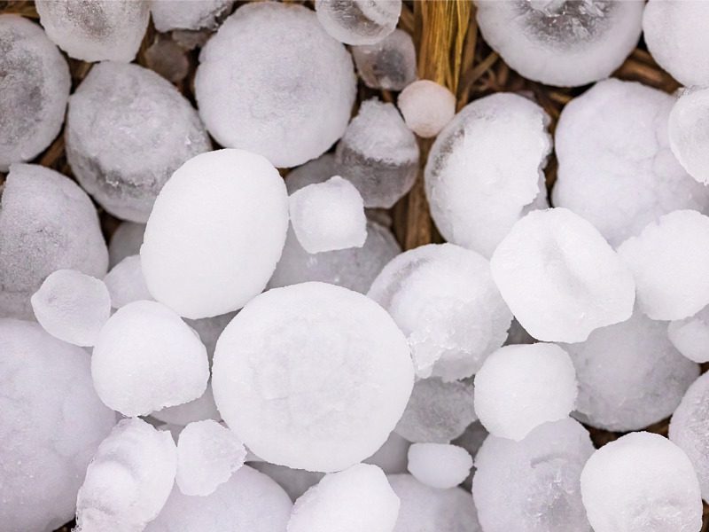 Hailstones the size of golf balls on the ground after a severe storm