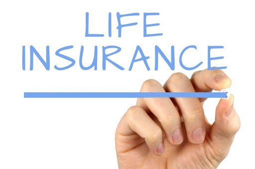 Is the Universal Life Insurance Policy Ideal for You?