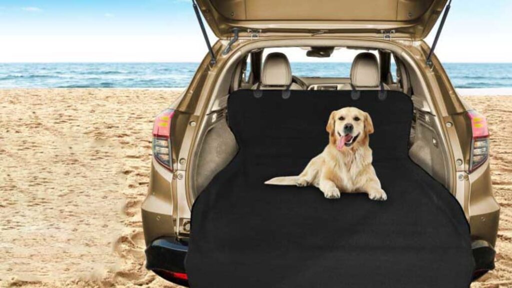 Snag this water-resistant SUV cargo liner for dogs right now for less than $13 at Amazon