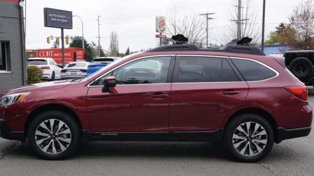 Image for article titled I'm An Adult Who Has Never Owned A Car Before! What Should I Buy?