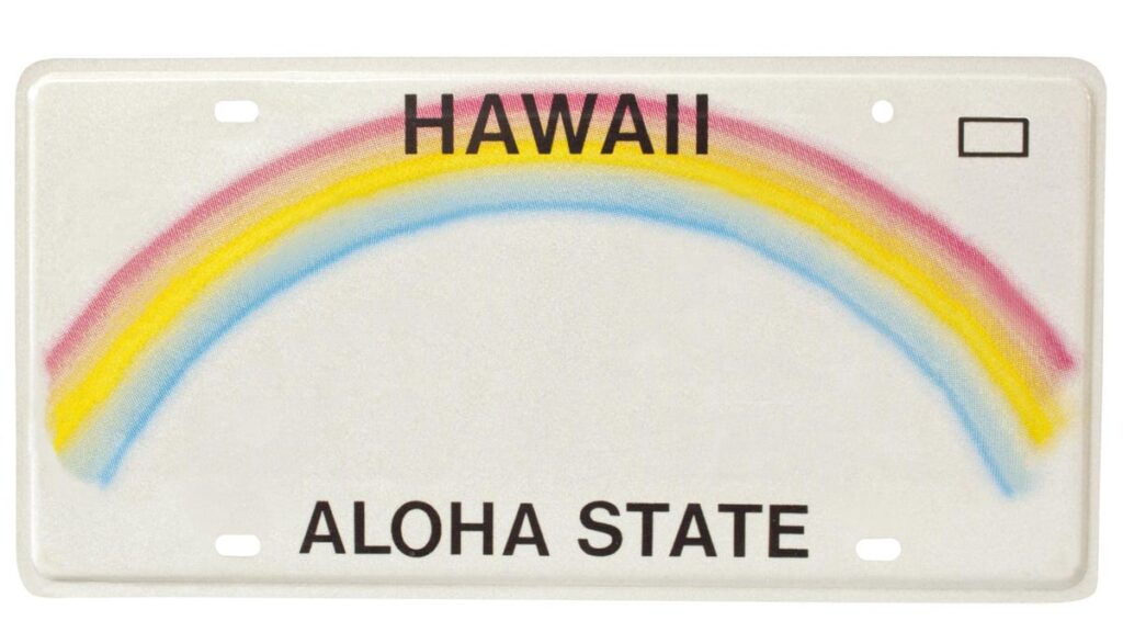 Hawaiian Man Loses Appeal To Keep Anti-BLM License Plate