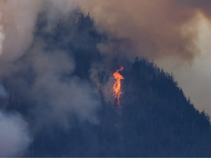 B.C. forest fire and smoke over the mountain