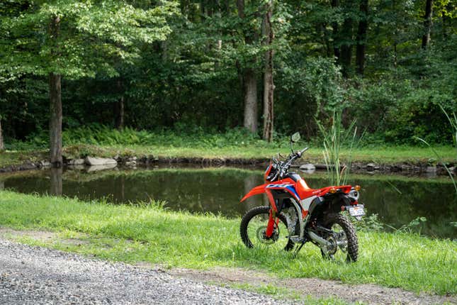 Image for article titled A Dual Sport Will Make You Feel Young Again, For One Hour
