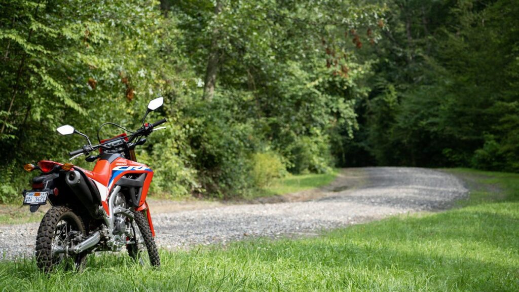 A Dual Sport Will Make You Feel Young Again, For One Hour