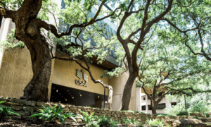 USAA employee dies by suicide at company HQ