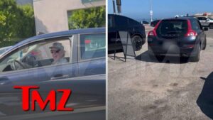 Woman Chases Down Gary Busey After He Hit Her Car With His Volvo C30