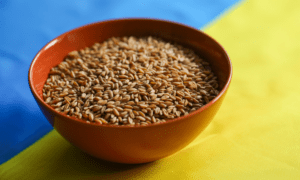 Miller to offer full war risks cover for vessels shipping Ukrainian grain