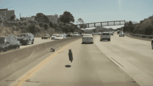 Watch A Tesla Cybertruck's Wheel Cover Fall Off And Go Airborne On The Highway