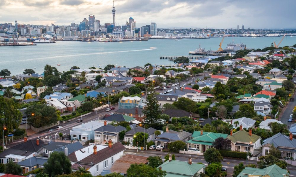Auckland council outlines decisions on high-risk homes