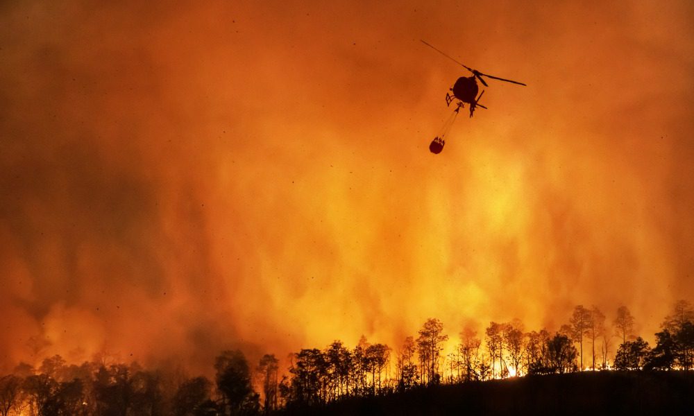 Canadian researchers work on new tech to improve wildfire prediction