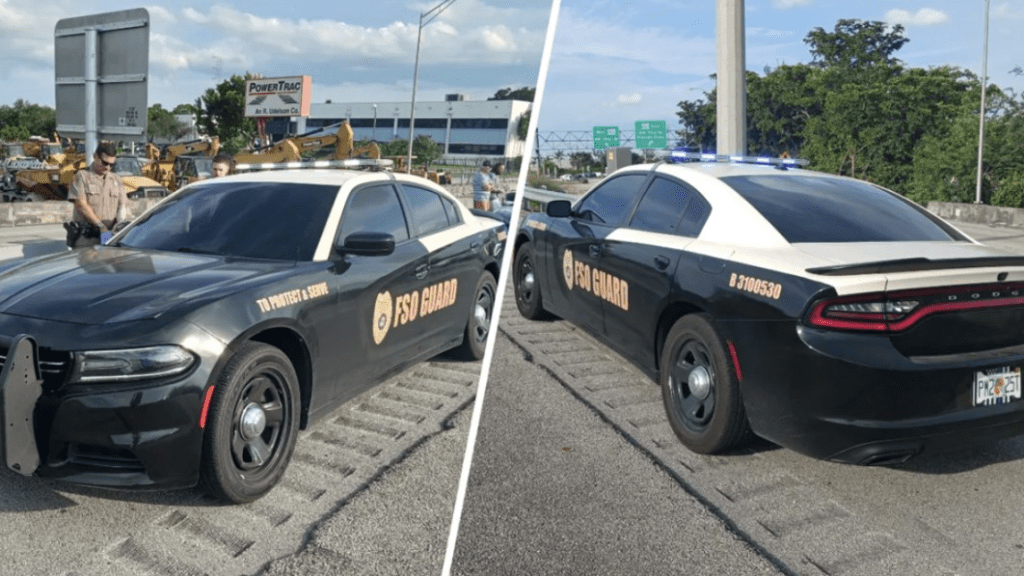 Florida woman charged with driving what looks like a Highway Patrol car
