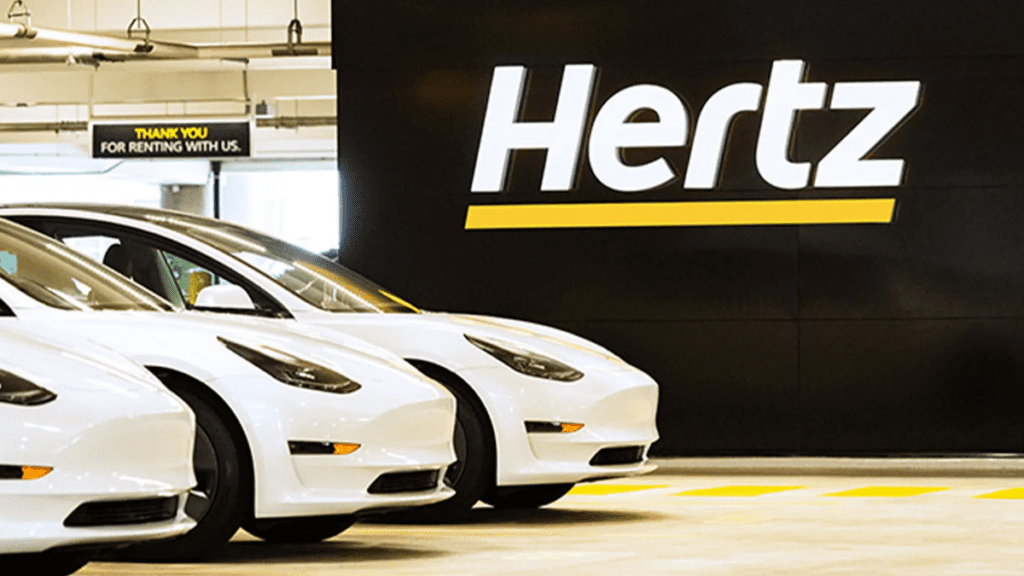 Hertz Tesla Rental Fleet Costs Company Big On Depreciation And Repairs