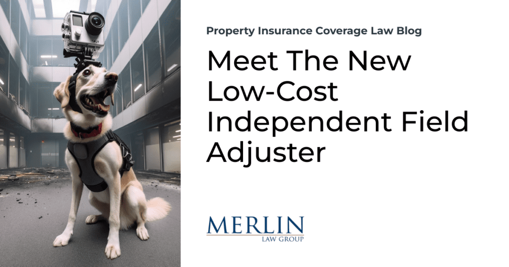 Meet The New Low-Cost Independent Field Adjuster