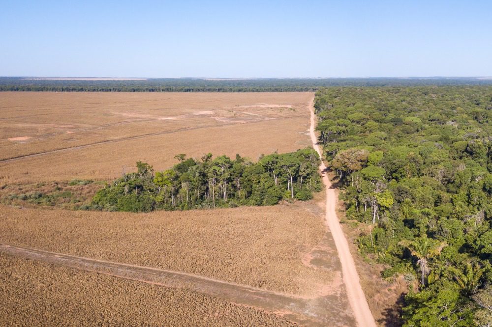 Swiss Re alleged to have insured illegally deforested farmland in Brazil