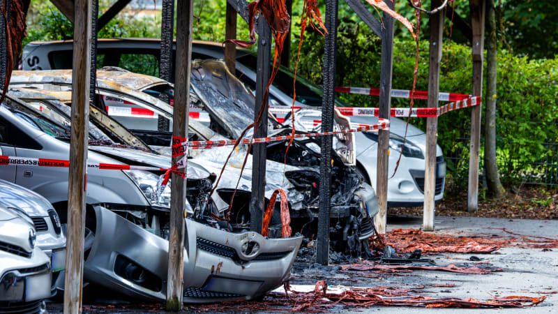 Electric cars are less likely to catch fire than gas cars