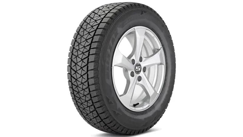 Bridgestone Blizzak DM-V2
