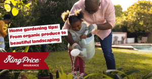 Home gardening tips: From organic produce to beautiful landscaping
