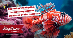 Exploring the depths: The most mysterious creatures of the deep sea