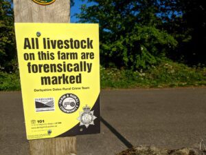 How to Prevent Livestock Rustling