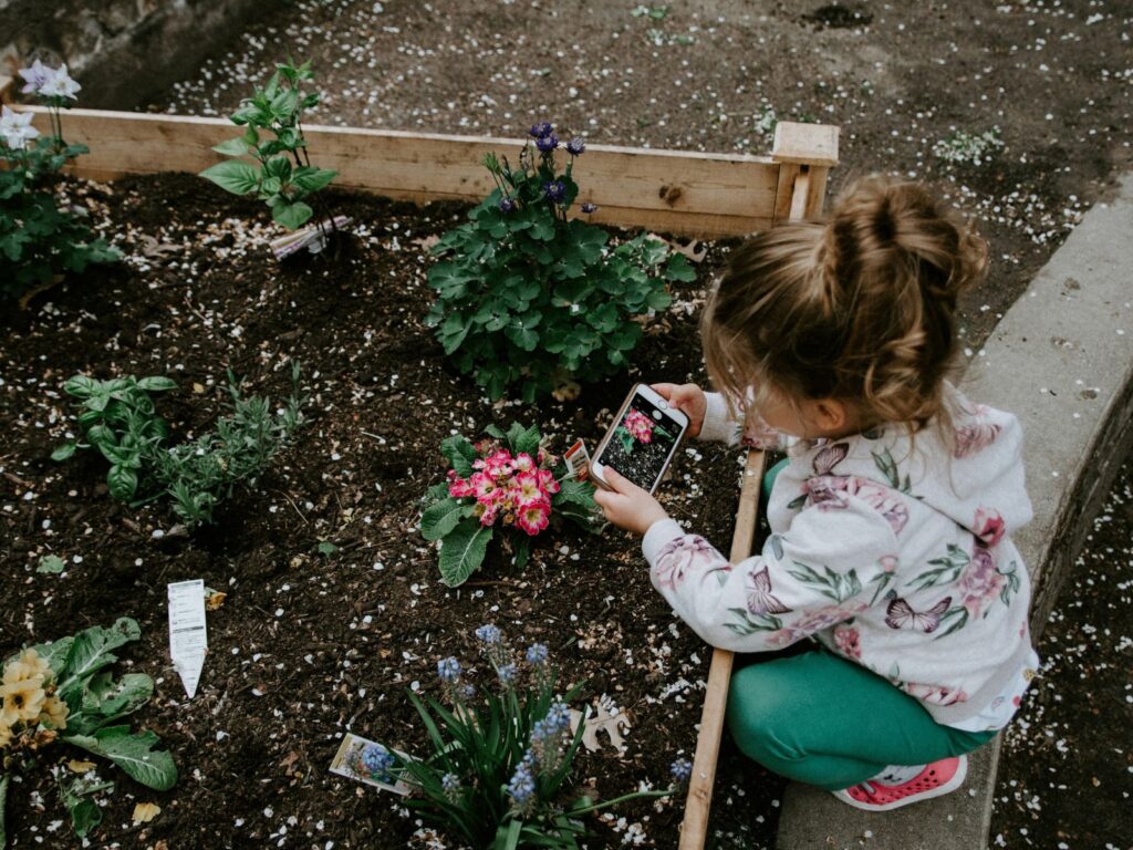 Little girl crouched, using a phone to take pictures of flowers that have been planted