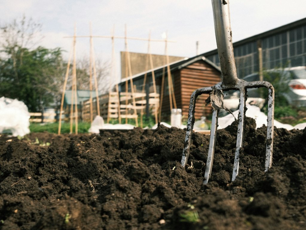Close-up of gardening fork stuck in soil on an allotment
